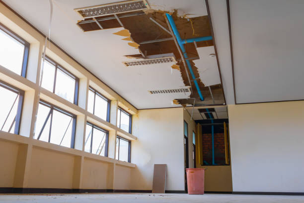 Best Water damage mitigation services  in Conehatta, MS