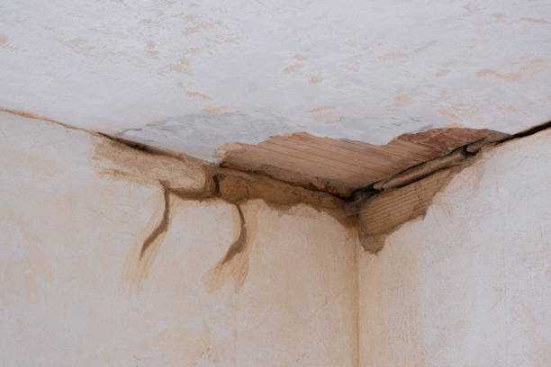 Best Flood damage cleanup  in Conehatta, MS
