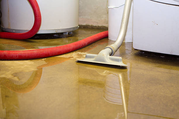  Conehatta, MS Water damage restoration Pros